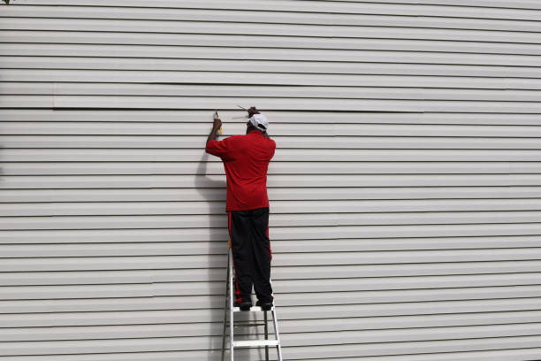 Best Stone Veneer Siding  in Gibbon, NE